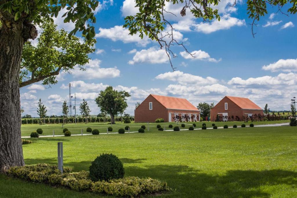 Bed and Breakfast Ladanjsko Imanje Principovac Ilok Exteriér fotografie